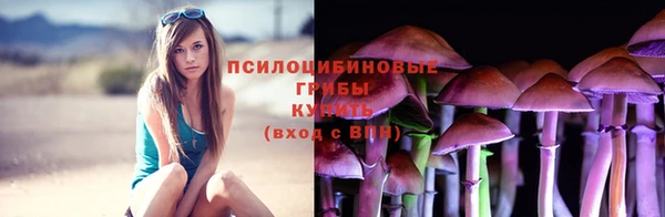 крисы Осташков