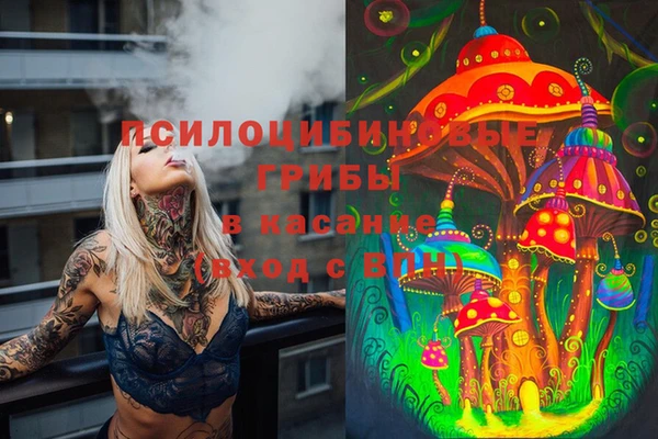 mix Осинники